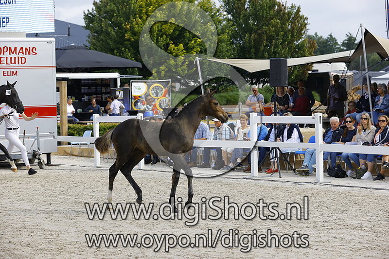 110 Roxendy v. Fontaine TN