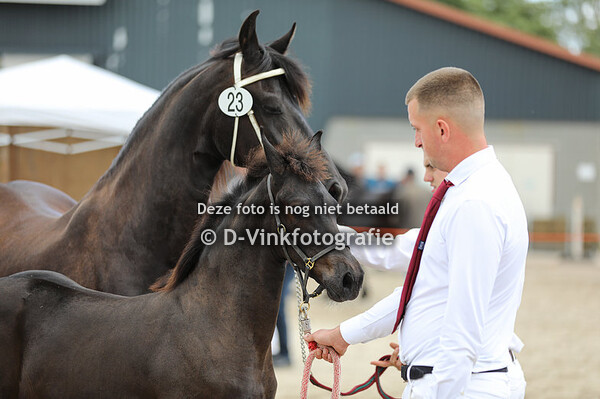 23. Wiskje van het Leuven