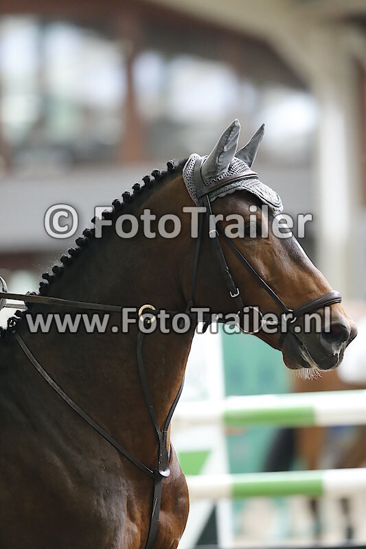 Marwin van den Nieuwenhuijzen