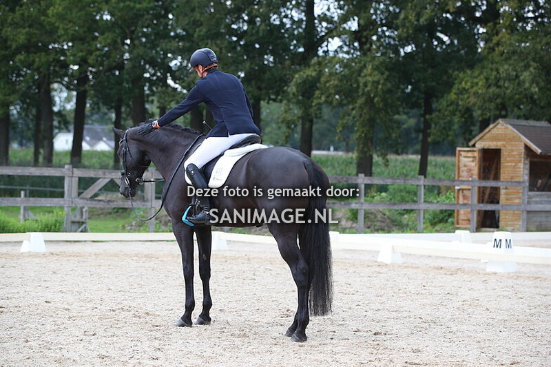 Groenewoude Dressuur 15-09-2024 11.45 - 13.00 uur