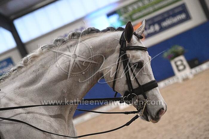 Cora Arends - Kruijswijk