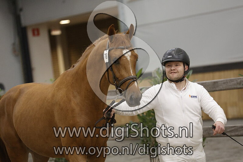 Rosselyn v. Inaico VDL - 078