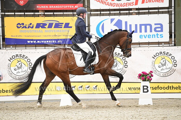 Laura Verhagen - Preston H