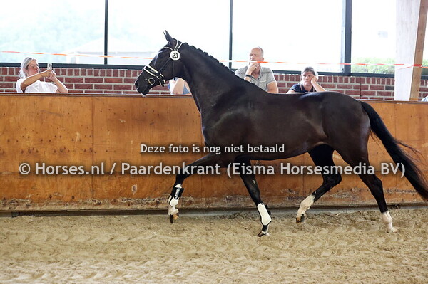 23 Sky L (Jameson RS2 x Gyro Radin v. Wynton)