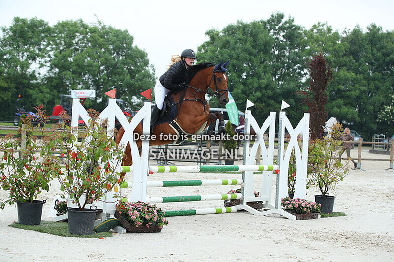 Jumping Tolboom 29-05-2025 Springen Paarden 80/90 cm