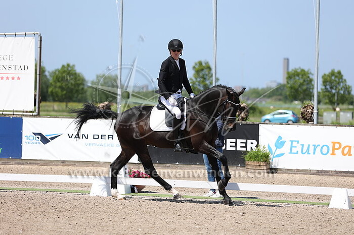 Stijn van den Boogaard - Nouveau VK