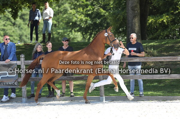 28 Once for All Swing