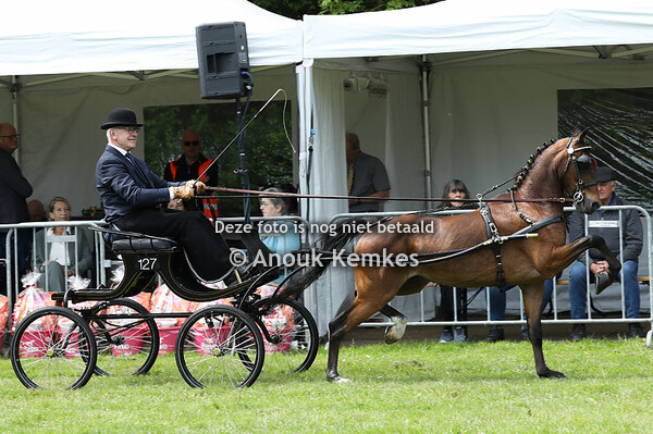 Hackney Grote Limiet