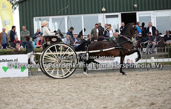 431 Flexibel en Bernino