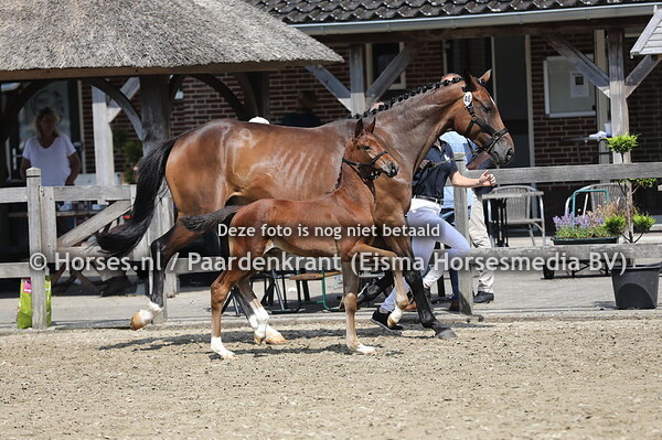 48 Samba vd Watermolen