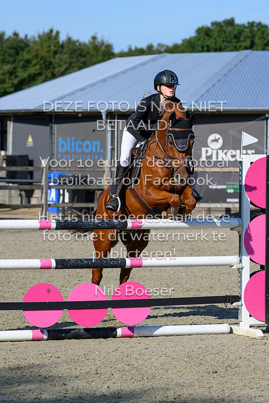 4 Pony's Klasse 110-120cm