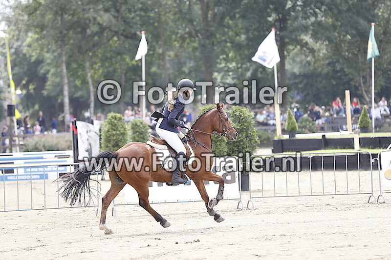 Demi Kattenpoel Oude Heerink