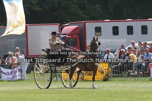 Indigo (Renovo x Nova Zembla)