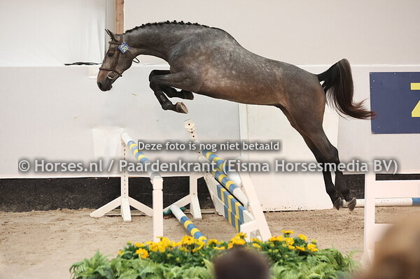 20 Checkmate Z (Camago x Chatman)