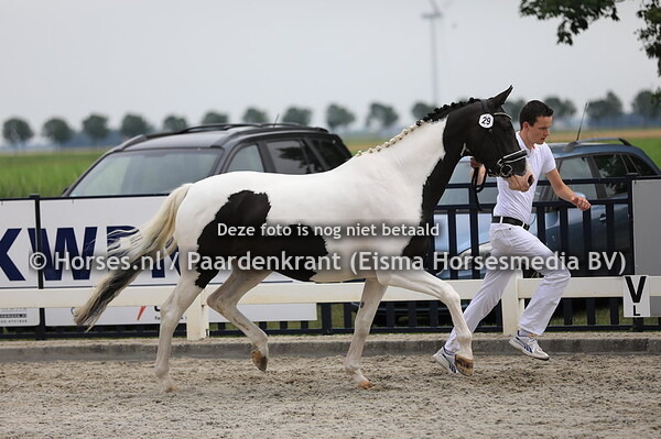 29 Invision v Chagall D&R