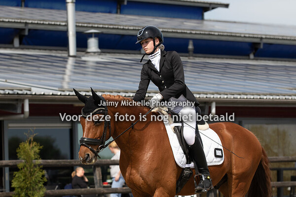 952 Anouk Rood