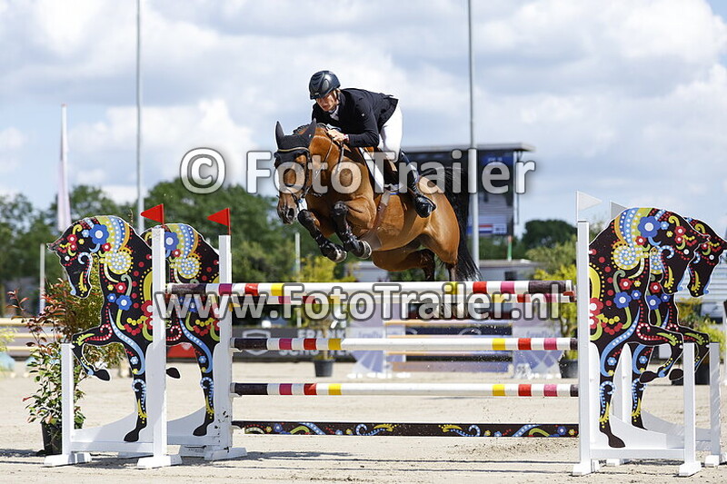 dennis van den brink