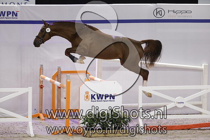 Hills Borough RA Z v. Halifax van het Kluizebos