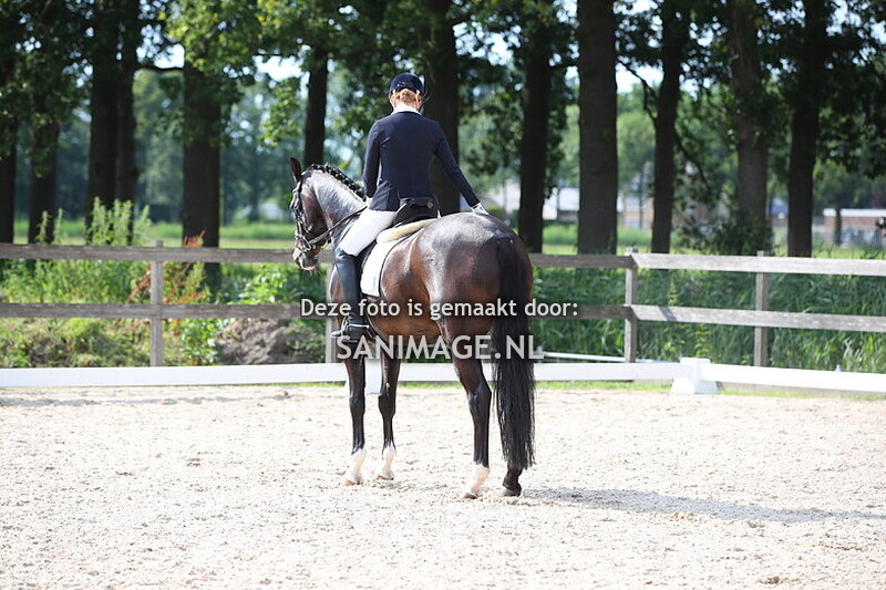 Manege Groenewoude Dressuur 23-06-2024 Ring 2 16.30 uur