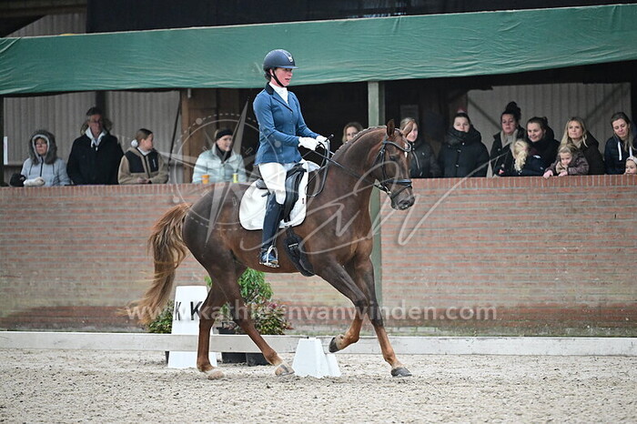 Eva van Duijn - Ostrade