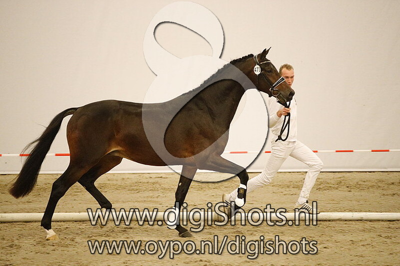 473 Looney Tunes v. Governor