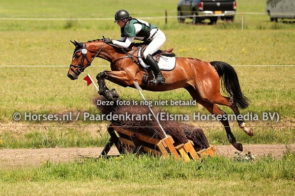 504 Jaxcin L.V. (Rascin x Tjunske x Voltaire) Katja Weimann