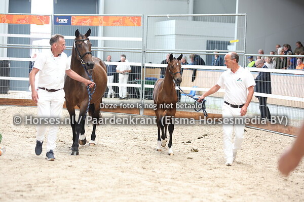 13 Viewpoint J.D. (Mindset ES x Hoy v. Zirocco Blue)