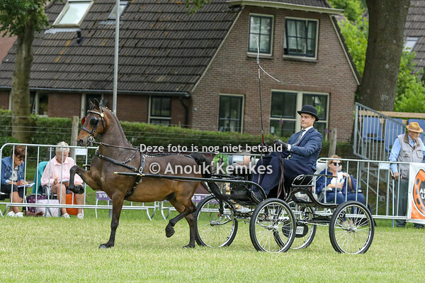 Hackney Grote Limiet