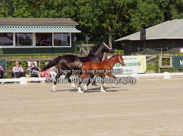 Kampioenschap 31-08-2024 Houten