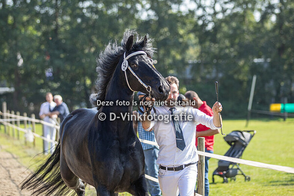 Rubriek 10 Premiekeuring kroonmerries