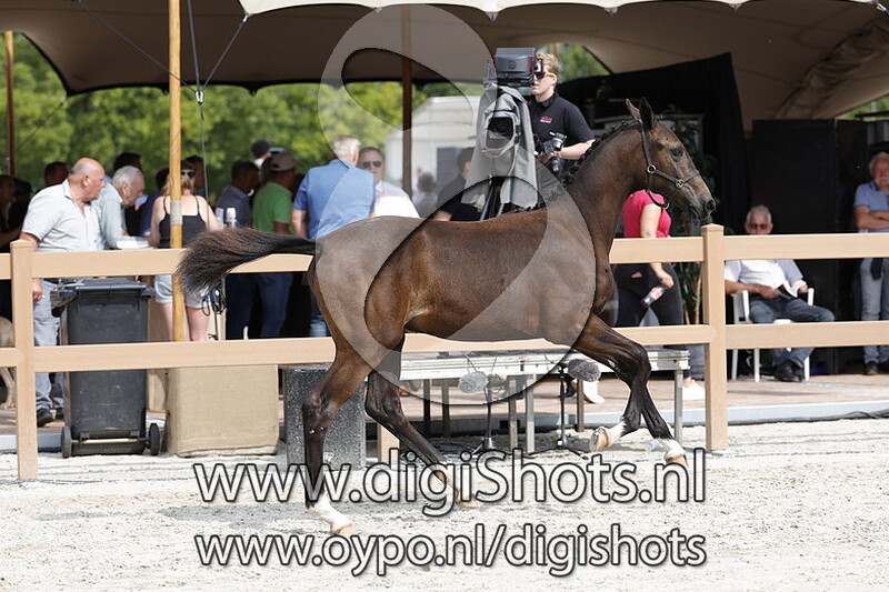 Top of Line v. Next in Line