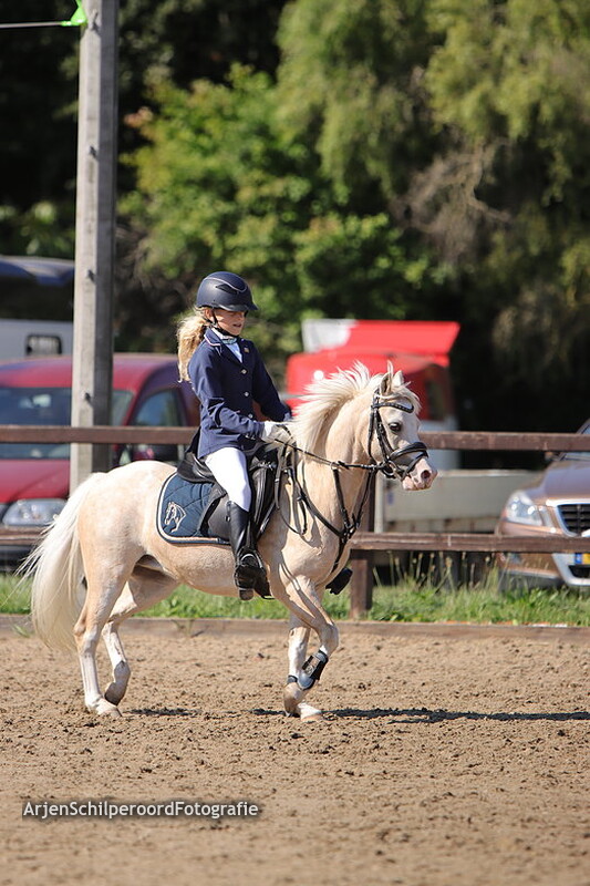 Horka Concours 03-09-2022 Prijsuitreiking 50-60cm AB