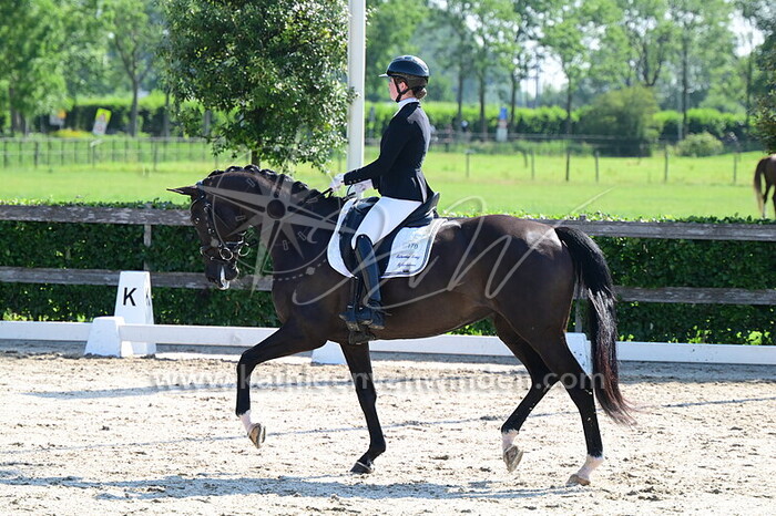 Lemoni Dicker - Nova-Lena