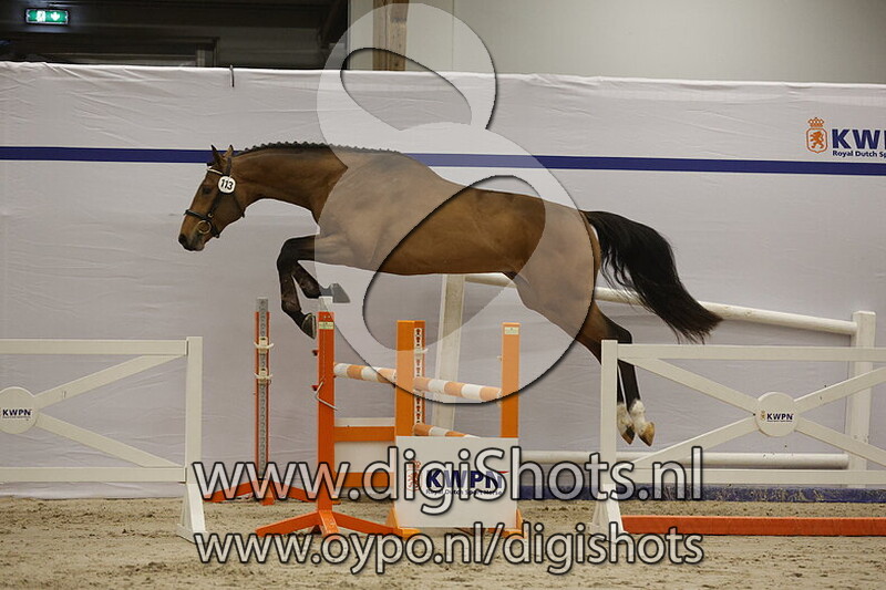 Santiago DDH v. Lord Sandro