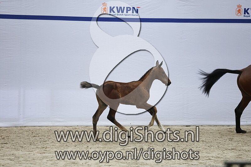 Vatendri VDL v. Grand Slam VDL