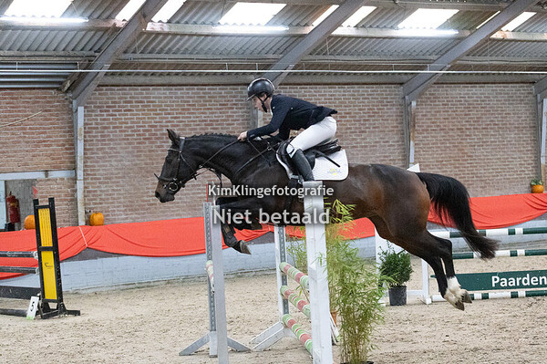 Twente Cup Lonneker paarden 0,90 & 1,00