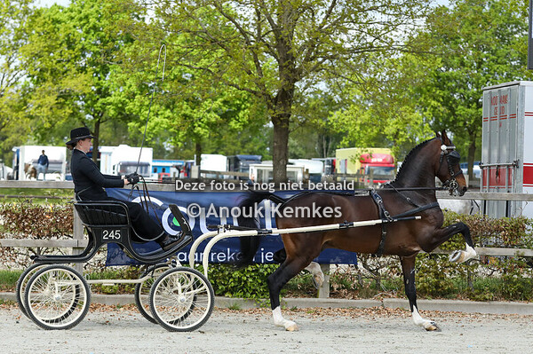 Nationaal - Hoge Limiet 
