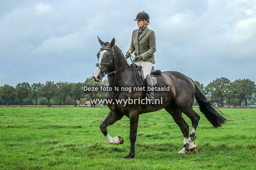 4 Zorgvlied 12-10-2023