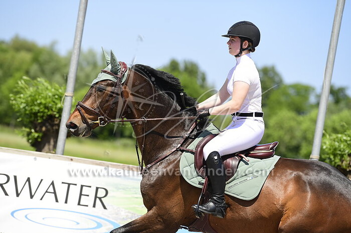 Songul Post - Mr. Donkey Kong