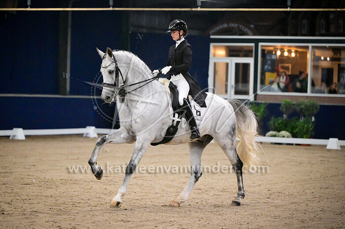 2024-11-01 tm 03 Indoor Oosteind dressuur