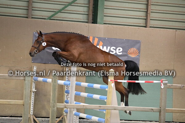 8 Lieke-Terma v Dallas VDL