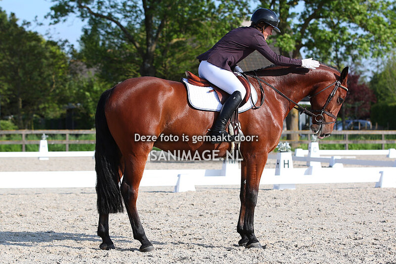 Reigersburgh 19-05-2023 Dressuur 17.30 uur (Ring 1)