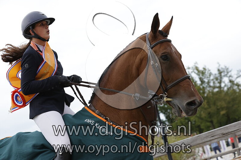 Klasse 1.40 paarden barrage