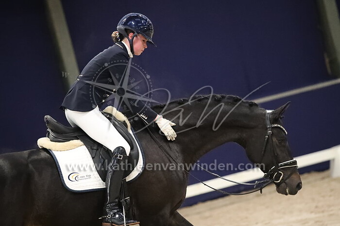 Lynne van Erp - Montrachet