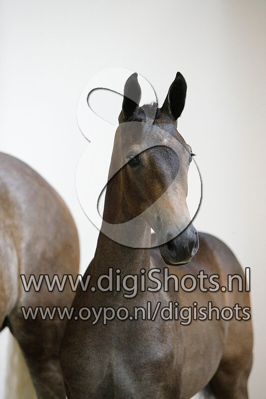 O Look at Me v. Glocks Toto Jr