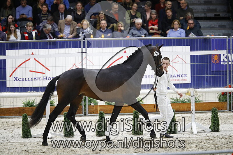 Livius Utopia v. Bordeaux