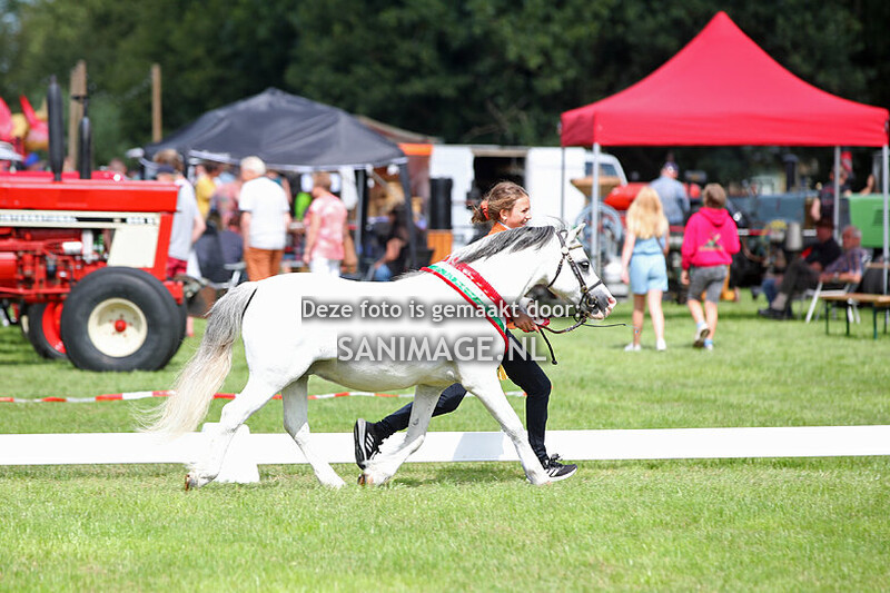 The Dragon Welsh Pony Show Oldebroek 10-08-2024 Ochtend Ring 1+2