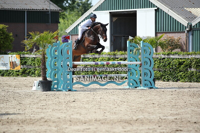 Zilfia's Hoeve 16-05-2025 Springen Paarden 110 cm