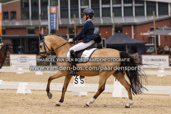 20230721-Ring-3-103-pony-Z2 - nr1 - nr5