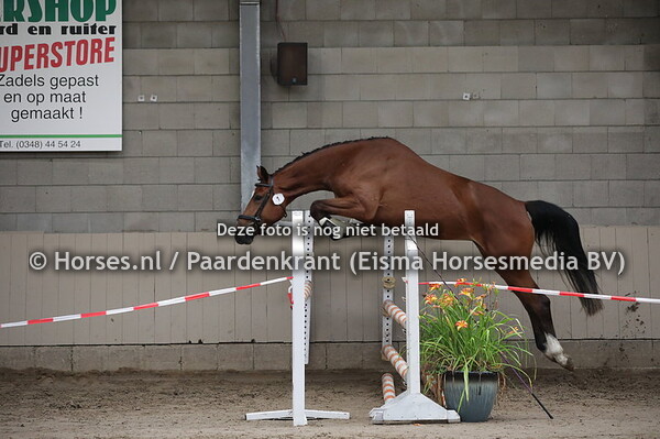 1 Martinair (Casago x Air Holland v. Tolan R)